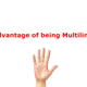 Illustration for article titled 5 Advantage of being Multilingualem/em